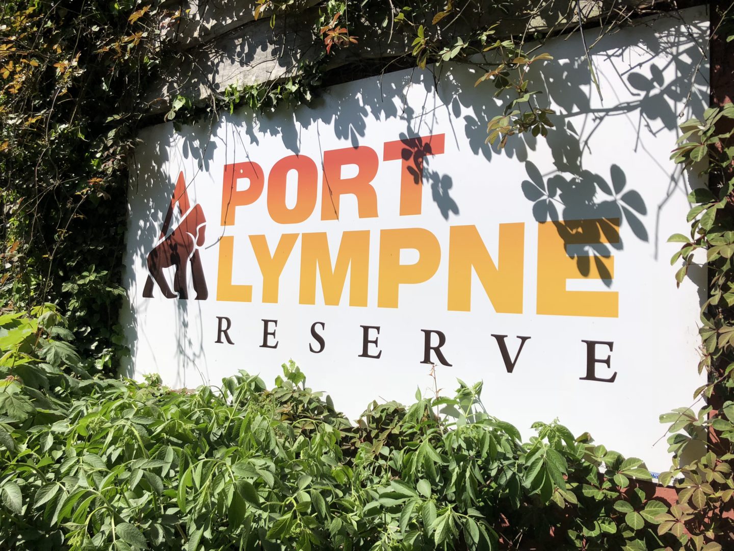 Port Lympne reserve Visit and review