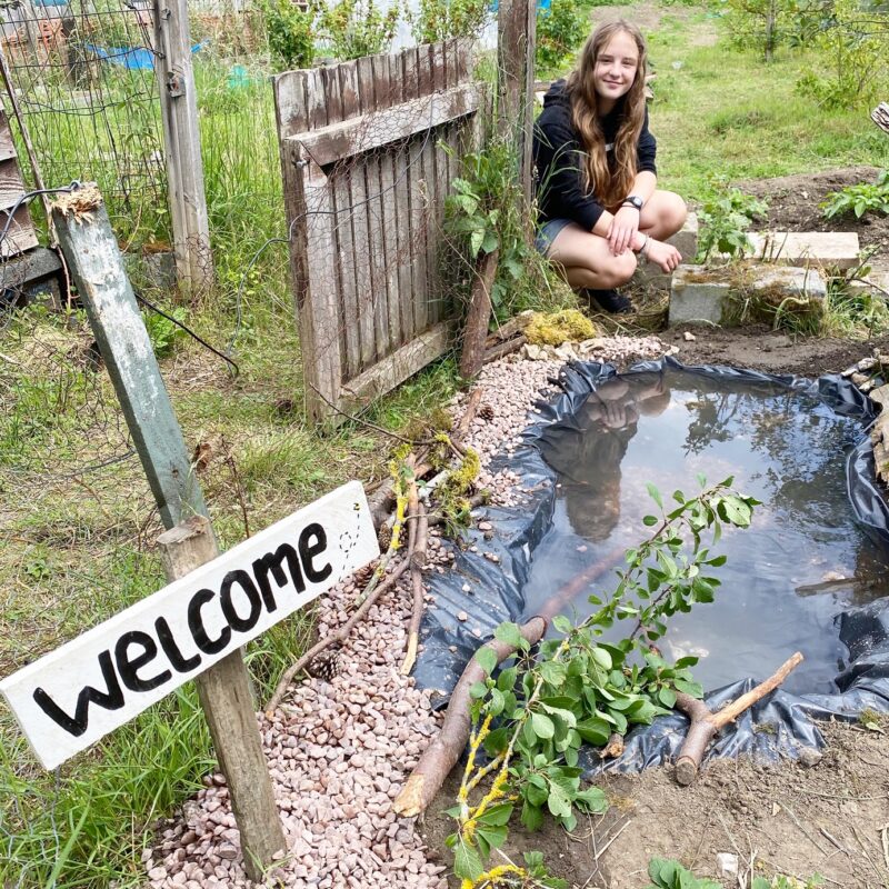 How To Build A Wildlife Pond The Twins And Me