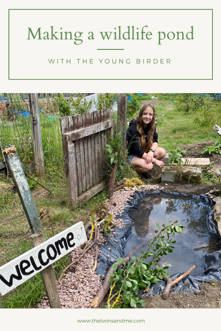 How to build a wildlife pond – The Twins and Me