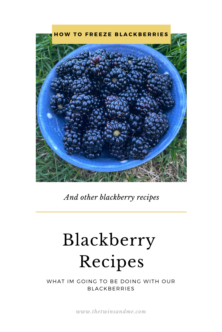How to freeze Blackberries and other Blackberry recipes
